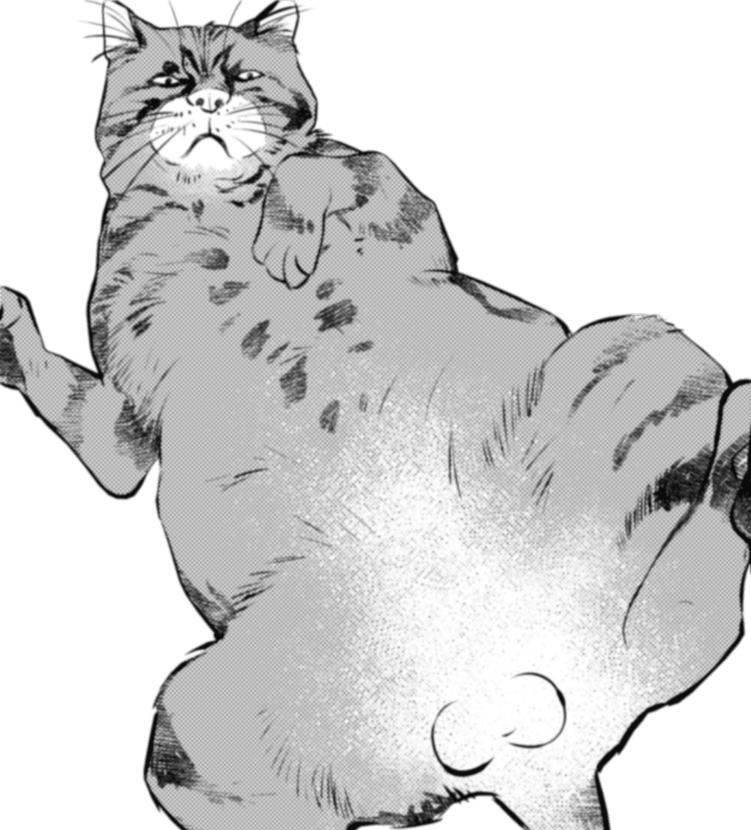 トラ